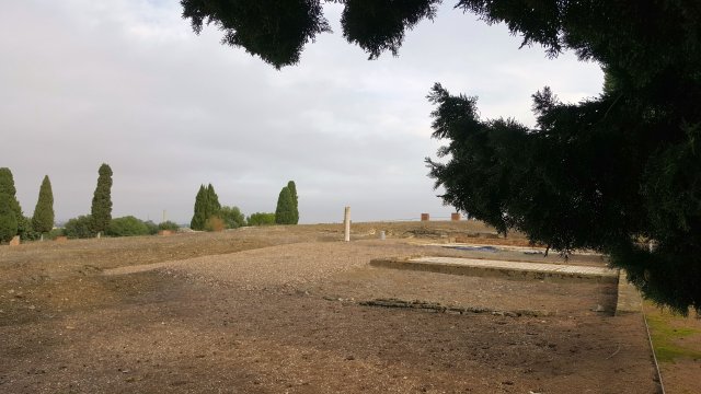 s374 italica